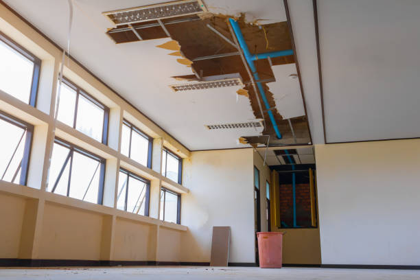 Best Water damage restoration near me  in St Cloud, FL