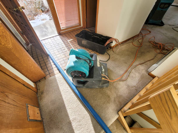 Best Water damage restoration experts  in St Cloud, FL