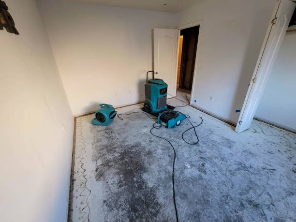 Water damage restoration experts in St Cloud, FL