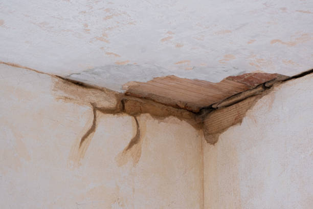 Best Professional water damage repair  in St Cloud, FL