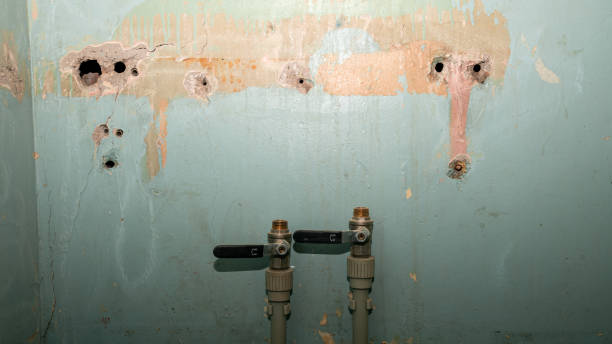 Best Water damage contractors near me  in St Cloud, FL