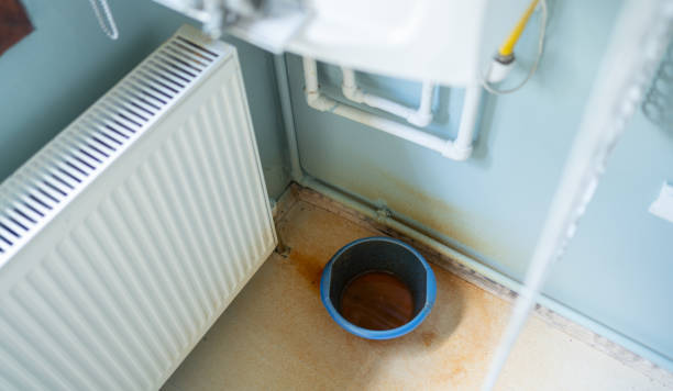 Best Ceiling water damage repair  in St Cloud, FL