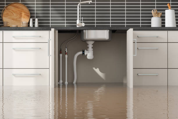 Best 24-hour water damage restoration  in St Cloud, FL
