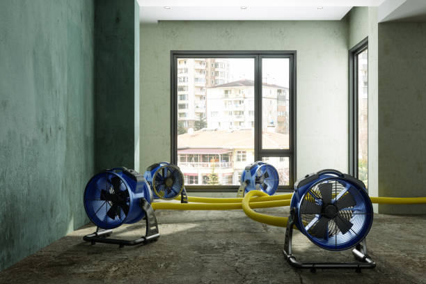  St Cloud, FL Water damage restoration Pros